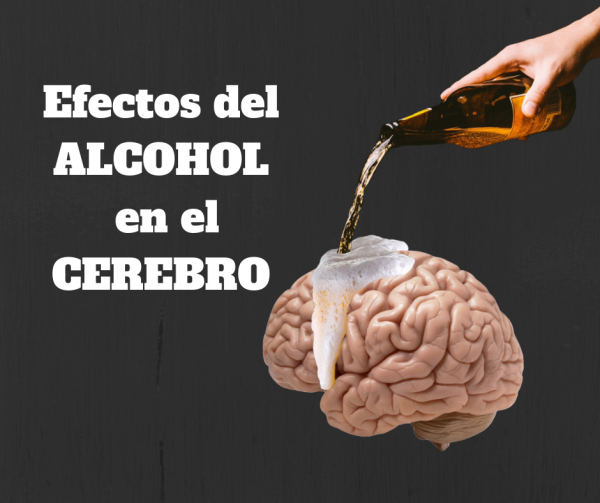 Efectos Del Alcohol En El Cerebro Neuropsicologueando Efectos Del Alcohol En El Cerebro Neuropsicologueando